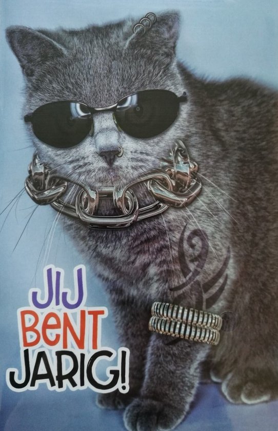 CENTRAL 23 Gelukkige verjaardagskaart - Pinguïn Verjaardagskaarten - Leuke Dierenkaarten voor Jongens en Meisjes - Gelukkige Verjaardagskaart voor CENTRAL 23 Gelukkige verjaardagskaart - Pinguïn Verjaardagskaarten - Leuke Dierenkaarten voor Jongens en Meisjes - Gelukkige Verjaardagskaart voor
