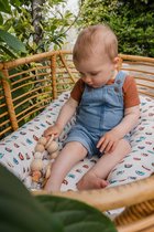 Babynestje - 110 x 75 cm - Baby cadeau - Regenboog