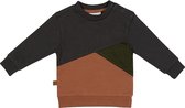 Frogs and Dogs - Dino Park Sweater Colour Block - - Maat 62 -