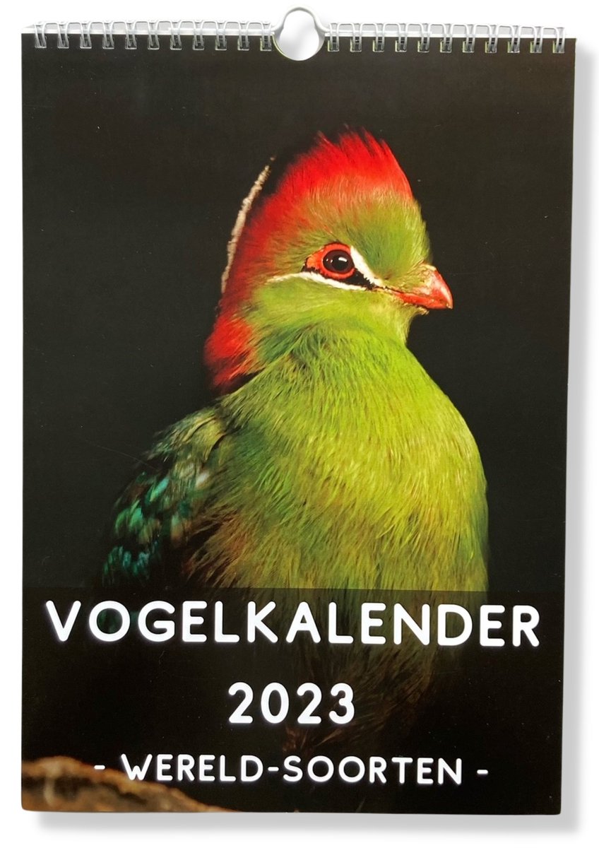 Vogel Kalender - Kalender 2023 Wandkalender - Maandkalender - incl. 10 Wenskaarten - Dieren - A4