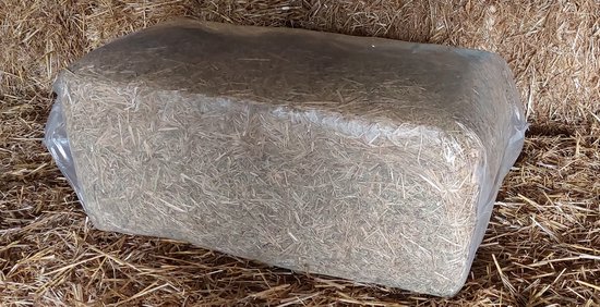 Foin - 15 kg - Foin de pâturage pour petits animaux, cobayes, lapins et chevaux