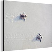 Wanddecoratie Metaal - Aluminium Schilderij Industrieel - Twee kleine schildpadden - 80x60 cm - Dibond - Foto op aluminium - Industriële muurdecoratie - Voor de woonkamer/slaapkamer