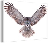 Flying Owl Aluminium 30x20 cm - petit - Tirage photo sur Aluminium (décoration murale métal)