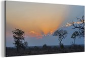 Wanddecoratie Metaal - Aluminium Schilderij Industrieel - Het landschap van het Krugerpark in Zuid-Afrika bij zonsondergang - 160x80 cm - Dibond - Foto op aluminium - Industriële muurdecoratie - Voor de woonkamer/slaapkamer