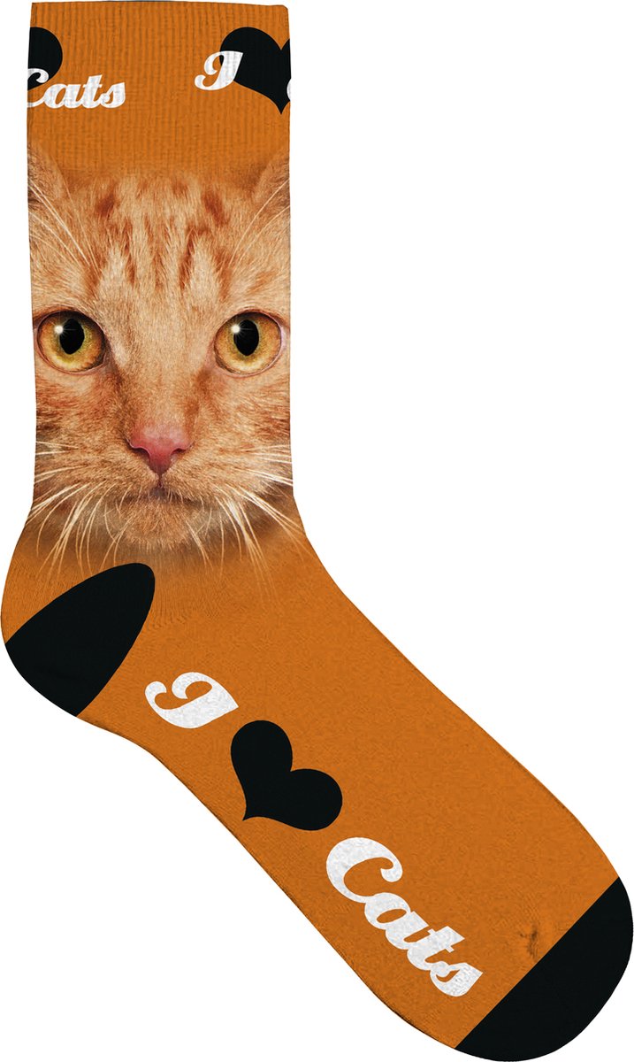Plenty Gifts Sock Orange Cat Eyes 39-44