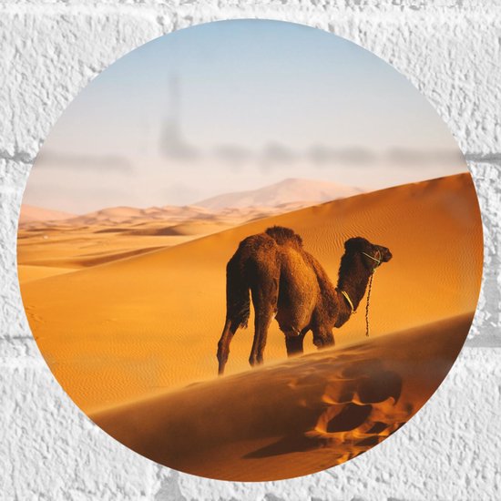 WallClassics - Muursticker Cirkel - Dromedaris Alleen in Woestijn - 20x20 cm Foto op Muursticker