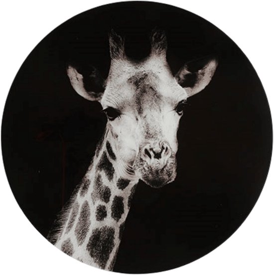 Glasschilderij Giraffe Zwart/Wit 50 cm