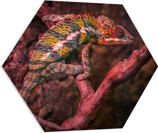 WallClassics - PVC Schuimplaat Hexagon  - Kameleon op een Rood / Bruine Boom - 80x69.6 cm Foto op Hexagon (Met Ophangsysteem)