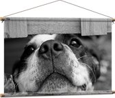 WallClassics - Textielposter - Nieuwsgierige Hond Zwart / Wit - 90x60 cm Foto op Textiel