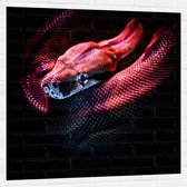 WallClassics - Muursticker - Rode Slang met Zwarte Achtergrond - 100x100 cm Foto op Muursticker