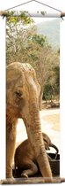 WallClassics - Textielposter - Olifanten bij de Waterbak - 30x90 cm Foto op Textiel