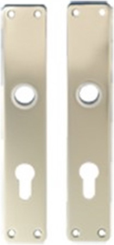 Deux rosaces de porte rectangulaires polies avec trou de serrure et trou rond, chacune avec quatre trous de vis.