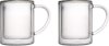 Theeglazen – thee glazen – set van theeglazen – premium kwaliteit – luxe glazen koffie thee