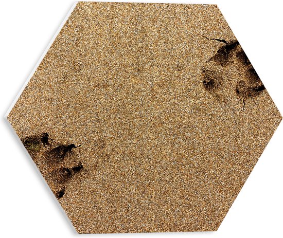 WallClassics - PVC Schuimplaat Hexagon  - Sporen van een Hond in het Zand - 30x26.1 cm Foto op Hexagon (Met Ophangsysteem)