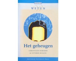 Geheugen