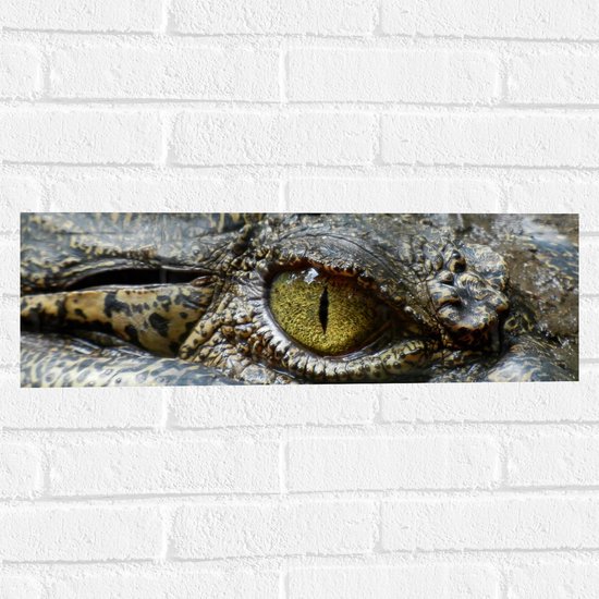 WallClassics - Muursticker - Oog van een Krokodil - 60x20 cm Foto op Muursticker