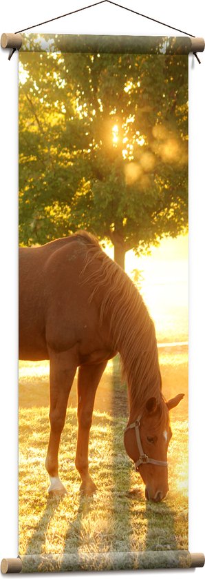 WallClassics - Affiche textile - Cheval brun sur une prairie au coucher du soleil - 30x90 cm Photo sur textile