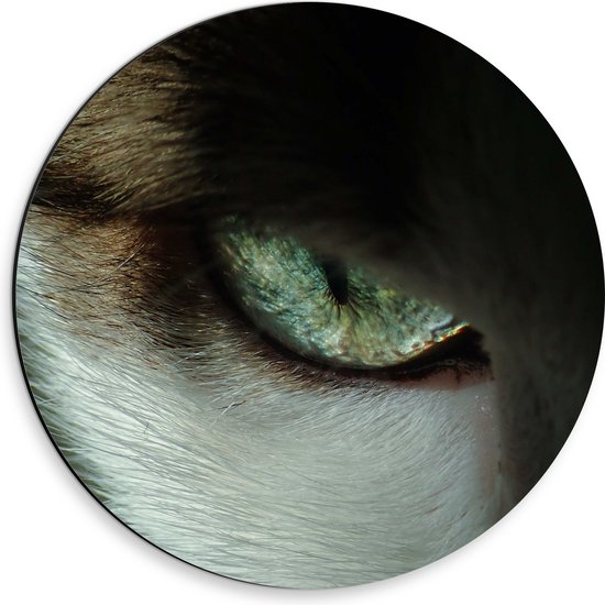 WallClassics - Dibond Muurcirkel - Close-Up - Oog van een Kat - 30x30 cm Foto op Aluminium Muurcirkel (met ophangsysteem)