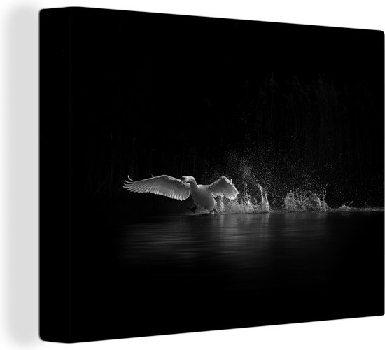 Canvas Schilderij Zwaan - Water - Nacht - zwart wit - Wanddecoratie