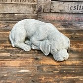 Betonnen tuinbeeld - Rustende puppy / hond / labrador / golden retriever