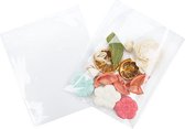 Plastiek Zakken 16x15.5cm Transparant en Hersluitbaar (100 stuks) | Plastic zak