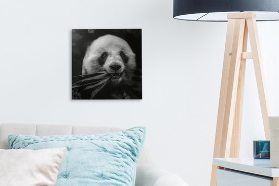 Canvas schilderij 20x20 cm - Wanddecoratie Dieren - Panda - Jungle - Muurdecoratie woonkamer - Slaapkamer decoratie - Kamer accessoires - Schilderijen op canvas