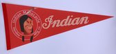 Indian Motorcycles - Indian logo - Motoren-  - Motors - Vaantje - Amerikaans - Sportvaantje - Wimpel - Vlag - Pennant -  31*72 cm