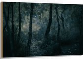 WallClassics - Hout - Dunne Takken in Donker Bos - 120x80 cm - 12 mm dik - Foto op Hout (Met Ophangsysteem)