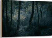 WallClassics - Hout - Dunne Takken in Donker Bos - 100x75 cm - 12 mm dik - Foto op Hout (Met Ophangsysteem)