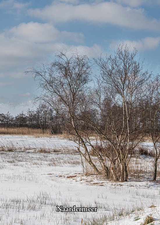 Foto: Set van 10 prentbriefkaarten gooise meren natuur cultuur serie 2