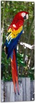 WallClassics - Tuinposter – Rode Ara Papegaai met Gele en Blauwe Veren - 40x120 cm Foto op Tuinposter  (wanddecoratie voor buiten en binnen)
