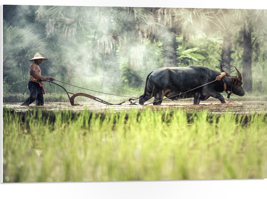 WallClassics - PVC Schuimplaat- Aziatische Boer aan het Werk - 75x50 cm Foto op PVC Schuimplaat