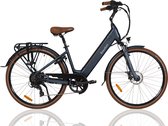 Elektrische Damesfiets - Britt - 49 cm - Achterwielmotor - 7 sp - Grijs