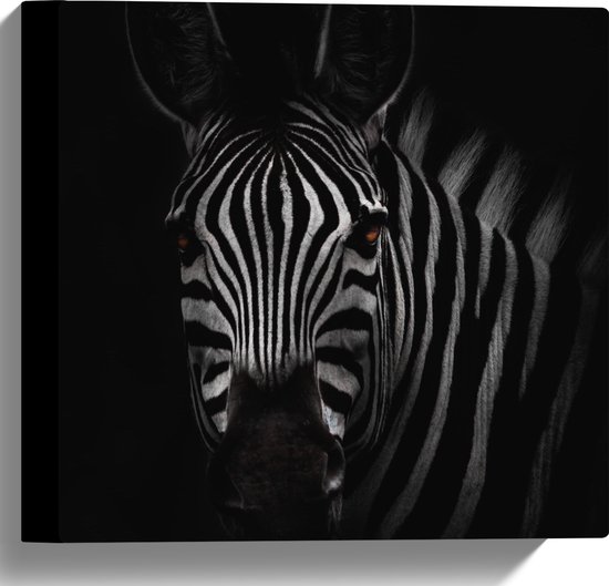 WallClassics - Canvas  - Zebra in het Donker Zwart-Wit - 30x30 cm Foto op Canvas Schilderij (Wanddecoratie op Canvas)