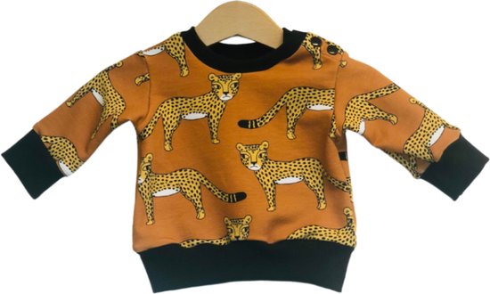 Sweater | Trui Leo - Bio-cotton - Kraamcadeau - Baby - Maat 80