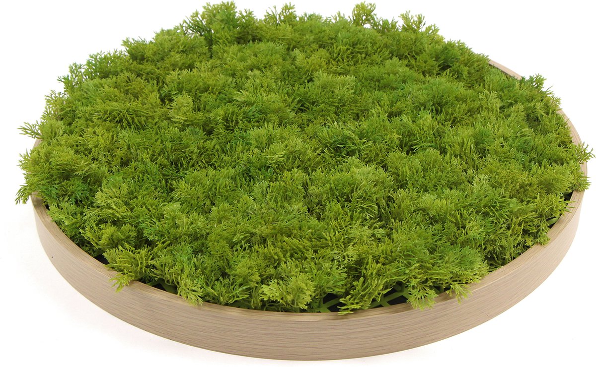 Kunstmos wanddecoratie – Moscirkel Emerald Green – 50 cm – Aluminium frame houtlook – Binnen & buiten – Onderhoudsvrij