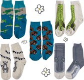 Nature Planet -kindersokken - set van 5 paar sokken - ringstaartmaki - 2x t-rex - mammoet -  zeeschildpad (100% Oeko-tex gecertificeerd) maat 23-28