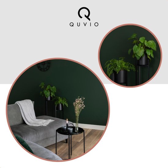 Zwarte plantenstandaarden met planten in een modern interieur.