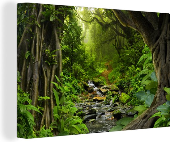 Canvas - Schilderij jungle - Bos - Water - Jungle - Muurdecoratie - Foto op canvas - 140x90 cm