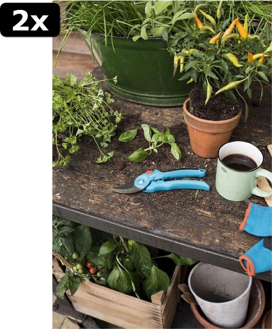 2x GARDENA - Classic B/S-M Bypass Snoeischaar - √ò 22mm - 25 Jaar Garantie van GARDENA — afbeelding 5
