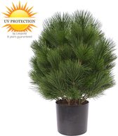 Kunststruik Pinus Den 60 cm UV  voor buiten