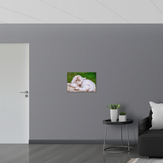 WallClassics - Dibond - Bébé - Photo sur aluminium 60x40 cm (Décoration murale en métal)