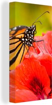 Canvas Schilderij Bloemen - Vlinders - Monarch - 20x40 cm - Wanddecoratie