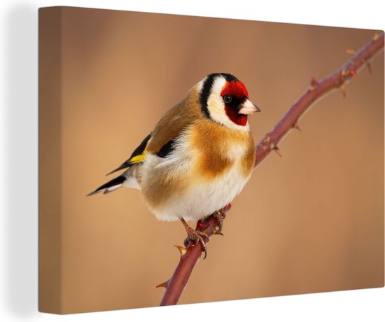 Canvas Schilderij Putter - Vogel - Dieren - 30x20 cm - Wanddecoratie