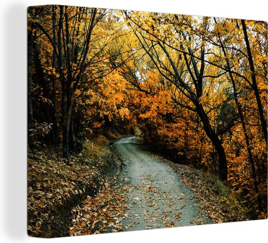 Toile Peinture Feuilles - Automne - Forêt - 40x30 cm - Décoration murale