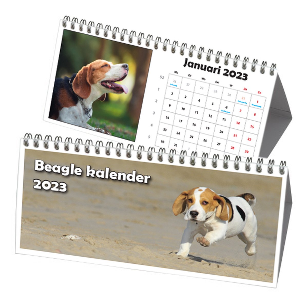 Beagle Driehoek Bureau Kalender 2023