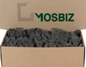 MosBiz Rendiermos Antraciet per 500 gram voor decoraties en mosschilderijen