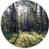 WallClassics - Dibond Muurcirkel - Dunne Bomen voor de Zon - 30x30 cm Foto op Aluminium Muurcirkel (met ophangsysteem)