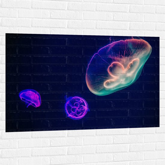 WallClassics - Muursticker - Gekleurde Kwal onder Water - 120x80 cm Foto op Muursticker