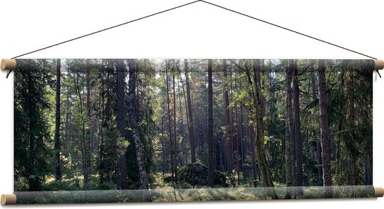WallClassics - Affiche Textile - Arbres Fins pour le Soleil - 90x30 cm Photo sur Textile